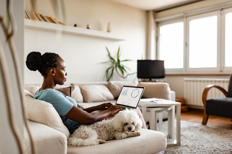 woman sitting with laptop and white dog
