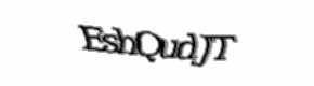 Security check image, please type the characters shown