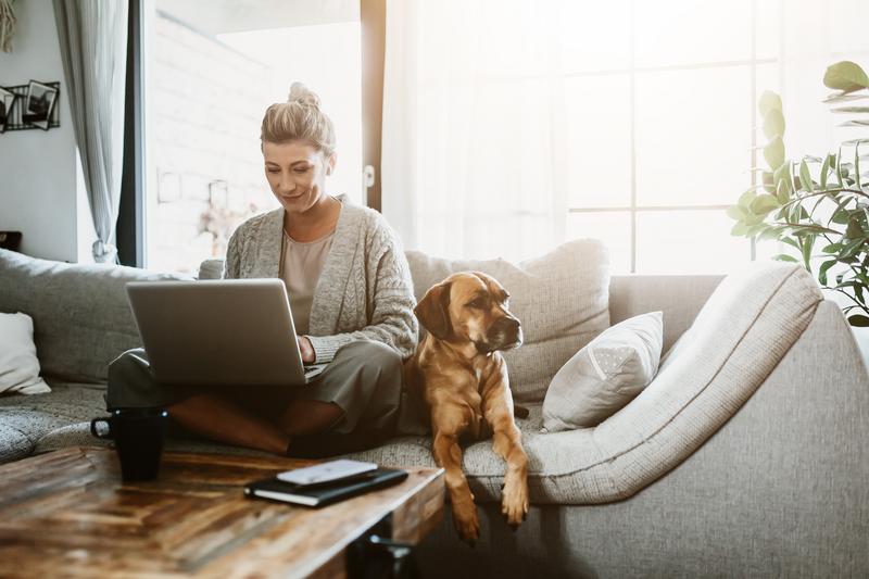 Image: woman sitting on couch with laptop and brown dog.