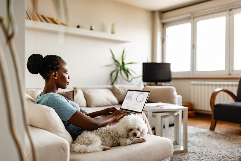 woman sitting with laptop and white dog